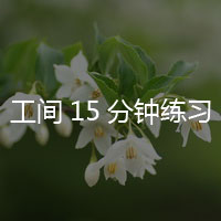 工间15分钟练习