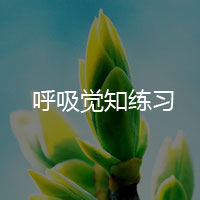 呼吸觉知练习